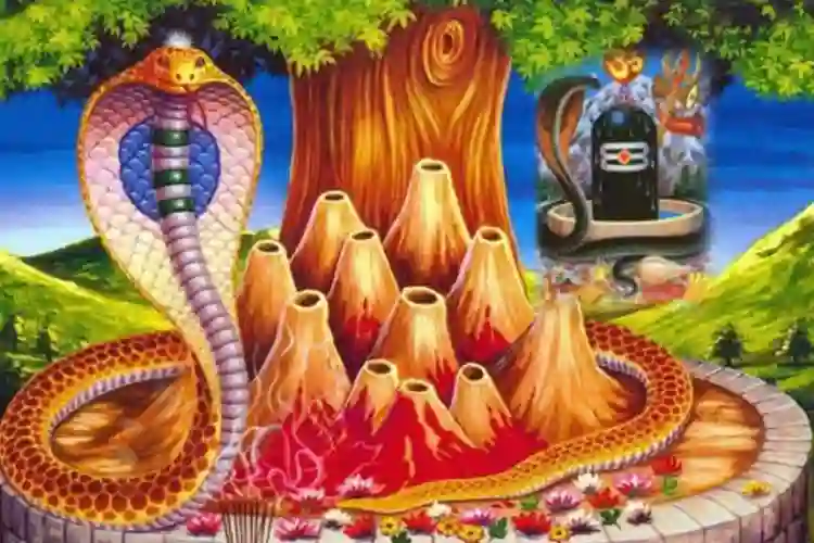 आज नागपञ्चमी, घरमा नाग को चित्र टाँसेर नागपञ्चमी मनाइँदै