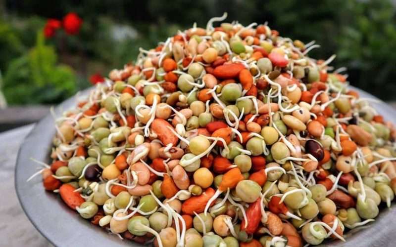 किन खाने क्वाटी यस्ता छन् क्वाटीका फाइदा