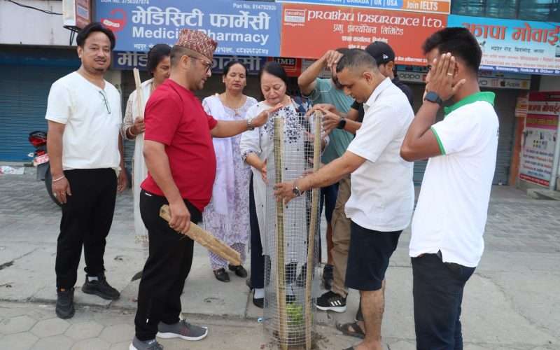 बिर्तामोडको भद्रपुर सडक खण्डमा वृक्षारोप