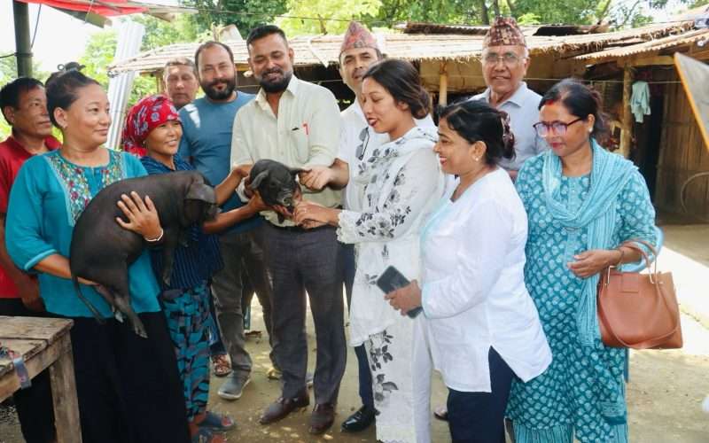 बिर्तामोड नगरपालिकाद्वारा पूर्णिमा कृषि समूहलाई बंगरका पाठा वितरण