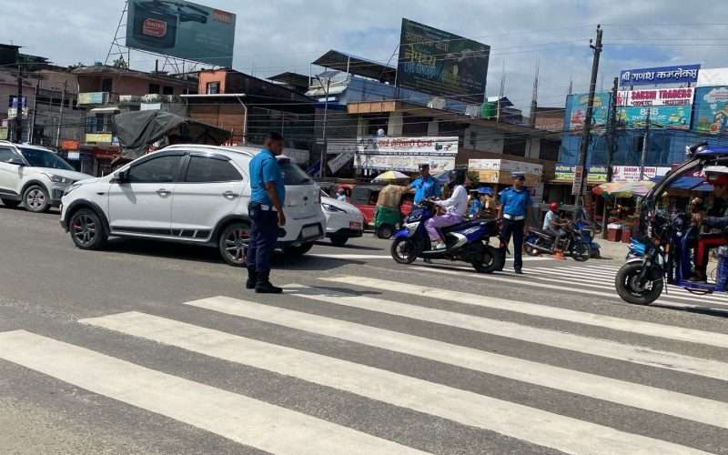 बिर्तामोडका मुख्य ठाउँहरुमा जेब्रा क्रसिङ निर्माण