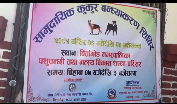 बिर्तामोडमा सामुदायिक कुकर बन्ध्याकरण शिविर सुरु