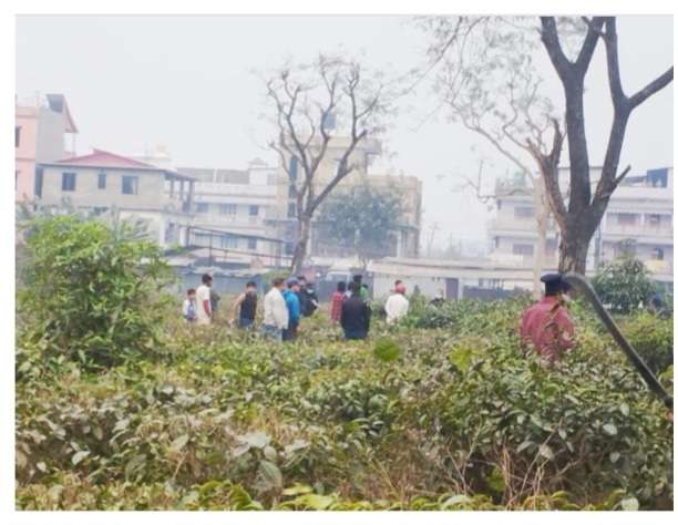 बिर्तामोडस्थित गिरीबन्धु चिया बगानभित्र सडेको अवस्थामा एक पुरुषको शव फेला