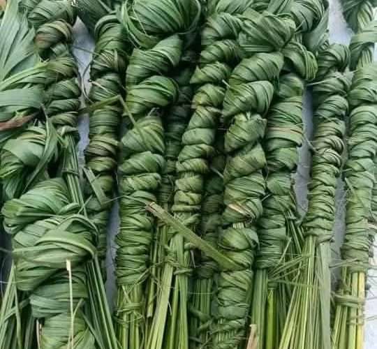 आज कुशे औंशी तथा बुबाको मुख हेर्ने दिन